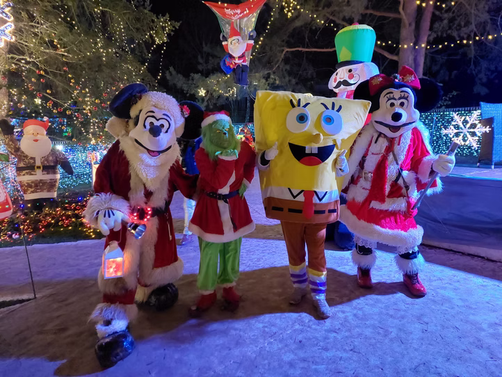 Bunte Weihnachtsbeleuchtung im Garten